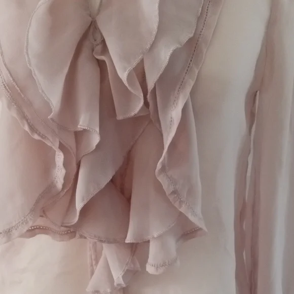 Chic Blush Ruffle Blouse - Picture 3 of 13